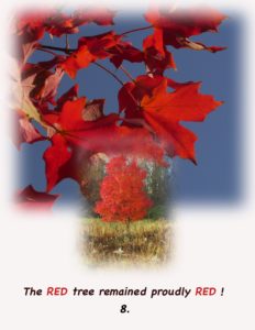 book the red tree